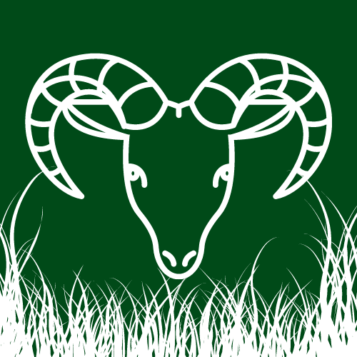 qurbani (1)